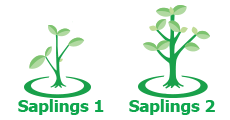 saplings